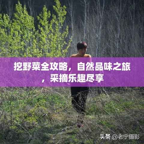 挖野菜全攻略,自然品味之旅,采摘乐趣尽享