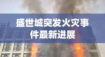 盛世城突发火灾事件最新进展