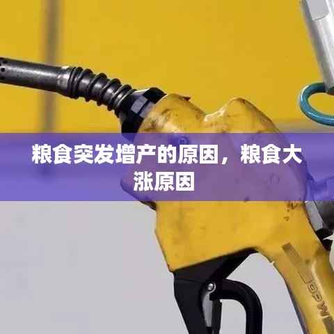 粮食突发增产的原因,粮食大涨原因