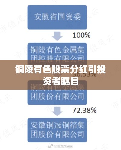 铜陵有色股票分红引投资者瞩目