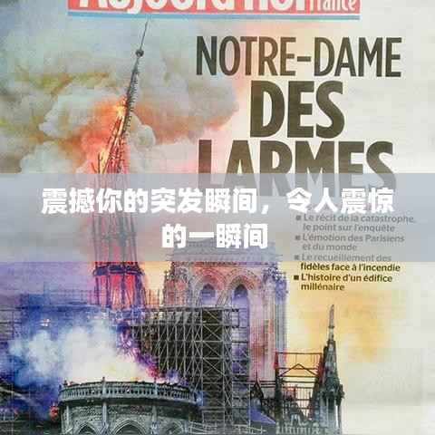 震撼你的突发瞬间,令人震惊的一瞬间