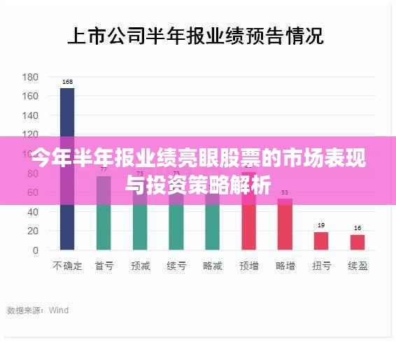 今年半年报业绩亮眼股票的市场表现与投资策略解析