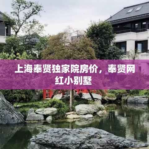 上海奉贤独家院房价,奉贤网红小别墅