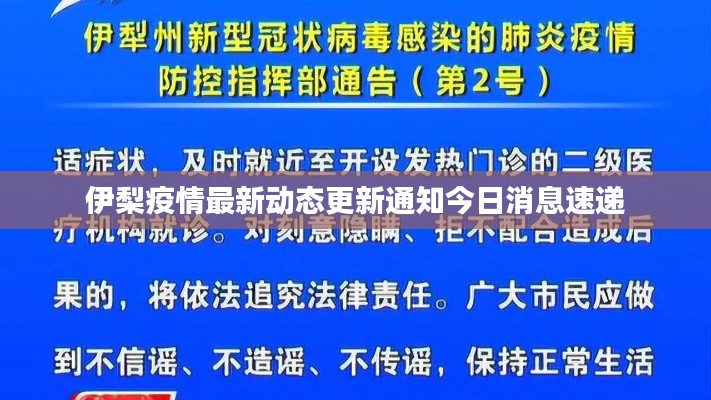 伊梨疫情最新动态更新通知今日消息速递