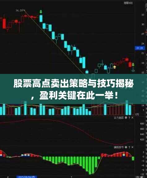 政策法规 第93页