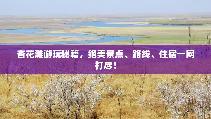 杏花滩游玩秘籍,绝美景点、路线、住宿一网打尽!