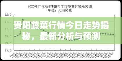 贵阳蔬菜行情今日走势揭秘,最新分析与预测