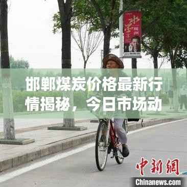 邯郸煤炭价格最新行情揭秘,今日市场动态分析