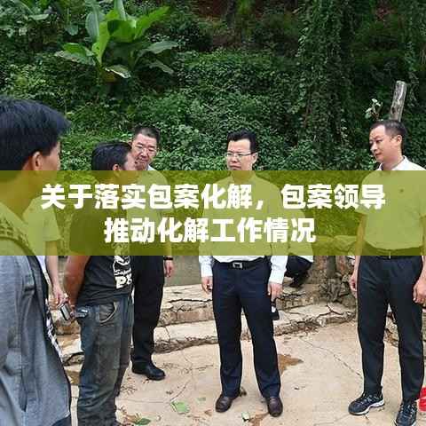 关于落实包案化解,包案领导推动化解工作情况