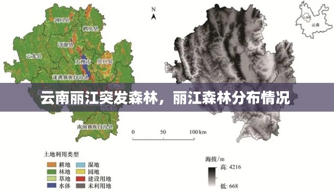 云南丽江突发森林,丽江森林分布情况