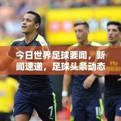 政策法规 第85页