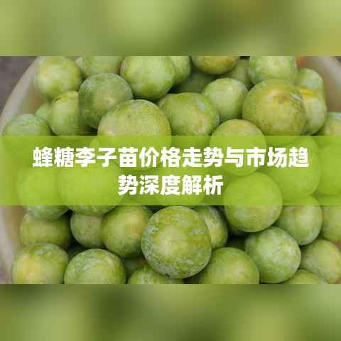 蜂糖李子苗价格走势与市场趋势深度解析