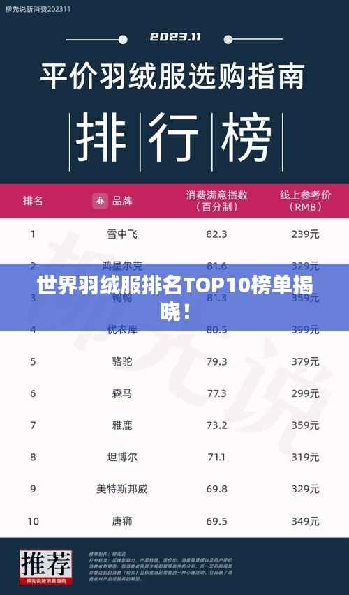 世界羽绒服排名TOP10榜单揭晓!
