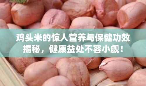 鸡头米的惊人营养与保健功效揭秘，健康益处不容小觑！