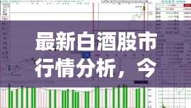 最新白酒股市行情分析,今日股价走势揭秘