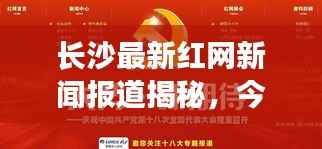 长沙最新红网新闻报道揭秘,今日热点事件一网打尽
