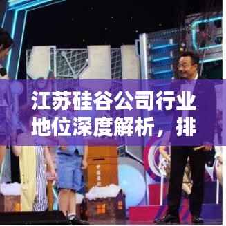 江苏硅谷公司行业地位深度解析,排名前瞻