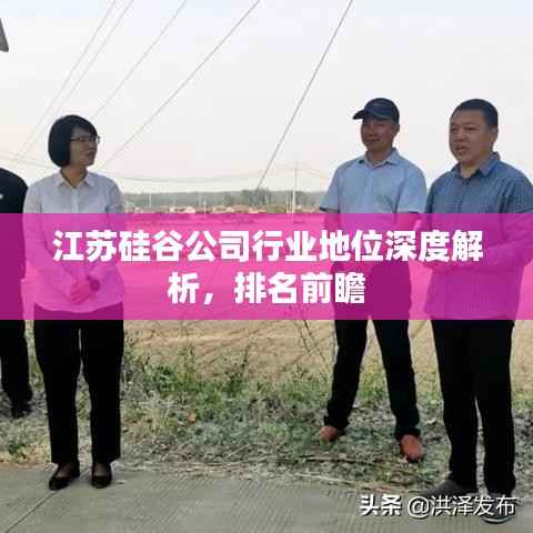 江苏硅谷公司行业地位深度解析,排名前瞻