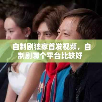自制剧独家首发视频,自制剧哪个平台比较好