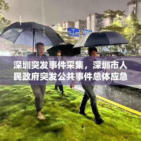深圳突发事件采集,深圳市人民政府突发公共事件总体应急预案