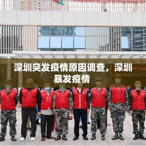 深圳突发疫情原因调查,深圳暴发疫情