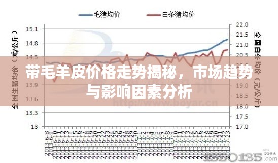 带毛羊皮价格走势揭秘,市场趋势与影响因素分析