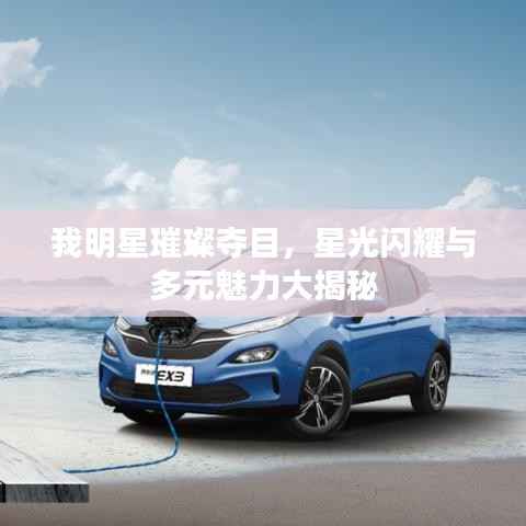 我明星璀璨夺目,星光闪耀与多元魅力大揭秘